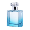 Eros Najim Parfum (Versace Type) - M