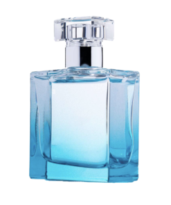 Eros Najim Parfum (Versace Type) - M