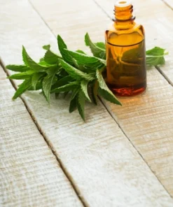 PEPPERMINT Essential oil [INDIAN]
