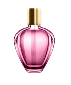 DOLCE AND GABBANA FOR WOMEN (D&G Type) - W